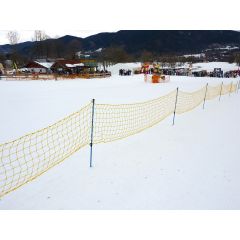 Article_Image